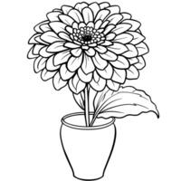 zinnia blomma översikt illustration färg bok sida design, zinnia blomma svart och vit linje konst teckning färg bok sidor för barn och vuxna vektor