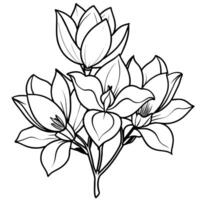 Magnolie Blume Gliederung Illustration Färbung Buch Seite Design, Magnolie Blume schwarz und Weiß Linie Kunst Zeichnung Färbung Buch Seiten zum Kinder und Erwachsene vektor