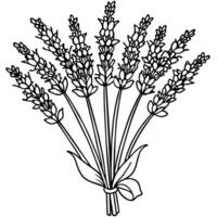 Lavendel Blume Gliederung Illustration Färbung Buch Seite Design, Lavendel schwarz und Weiß Linie Kunst Zeichnung Färbung Buch Seiten zum Kinder und Erwachsene vektor