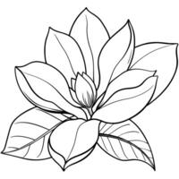 magnolia blomma översikt illustration färg bok sida design, magnolia blomma svart och vit linje konst teckning färg bok sidor för barn och vuxna vektor