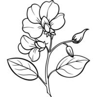 solros blomma översikt illustration färg bok sida design, solros blomma svart och vit linje konst teckning färg bok sidor för barn och vuxna vektor