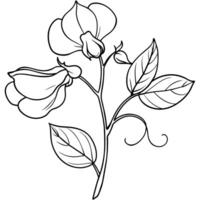 solros blomma översikt illustration färg bok sida design, solros blomma svart och vit linje konst teckning färg bok sidor för barn och vuxna vektor