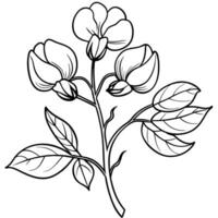 solros blomma översikt illustration färg bok sida design, solros blomma svart och vit linje konst teckning färg bok sidor för barn och vuxna vektor