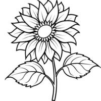 solros blomma översikt illustration färg bok sida design, solros blomma svart och vit linje konst teckning färg bok sidor för barn och vuxna vektor
