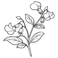 solros blomma översikt illustration färg bok sida design, solros blomma svart och vit linje konst teckning färg bok sidor för barn och vuxna vektor