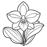 orkide blomma översikt illustration färg bok sida design, orkide blomma bukett svart och vit linje konst teckning färg bok sidor för barn och vuxna vektor