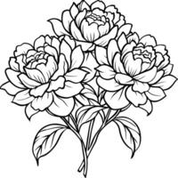 pion blomma översikt illustration färg bok sida design, pion blomma svart och vit linje konst teckning färg bok sidor för barn och vuxna vektor