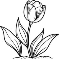 tulpan blomma översikt illustration färg bok sida design, tulpan blomma svart och vit linje konst teckning färg bok sidor för barn och vuxna vektor