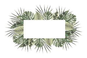 rektangulär ram av tropisk löv, fläkt handflatan, monstera, strelitzia. hand dragen vattenfärg ram på isolerat bakgrund. botanisk illustration för design av inbjudningar, kort, bröllop och högtider vektor