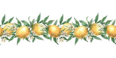sömlös gräns av gul citroner, grön löv och blommor. isolerat botanisk vattenfärg illustration i realistisk stil. handgjort sammansättning för dekorera kort, bröllop dekorationer, inbjudningar. vektor
