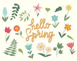 Blumen- Satz. bunt Blumen- Sammlung mit Blätter und Blumen, Beschriftung Hallo Frühling. Frühling oder Sommer- Design zum Einladung, Hochzeit oder Gruß Karten vektor