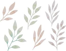 sortiment av vattenfärg löv illustration uppsättning - grön blad grenar samling för bröllop, hälsningar, stationär, tapeter, mode, bakgrund. oliv, grön löv, eukalyptus etc vektor