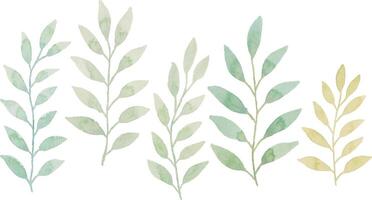 sortiment av vattenfärg löv illustration uppsättning - grön blad grenar samling för bröllop, hälsningar, stationär, tapeter, mode, bakgrund. oliv, grön löv, eukalyptus etc vektor