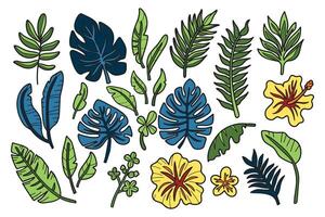 en samling av svart och vit ritningar av olika tropisk växter och blommor vektor
