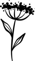 mycket liten vild morot växt klotter, blomma illustration, linje konst dekoration, isolerat vektor