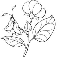 solros blomma översikt illustration färg bok sida design, solros blomma svart och vit linje konst teckning färg bok sidor för barn och vuxna vektor