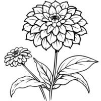 zinnia blomma översikt illustration färg bok sida design, zinnia blomma svart och vit linje konst teckning färg bok sidor för barn och vuxna vektor