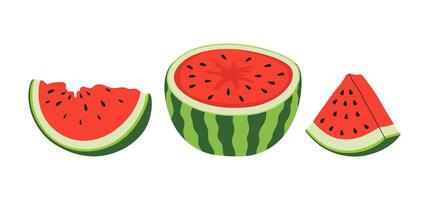färsk och saftig hela vattenmeloner och skivor. frukt sommar illustration för recept kokbok, baner, vykort, meny. friska produkt. platt illustration. vektor