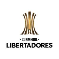 conmebol Libertadores Logo auf transparent Hintergrund vektor