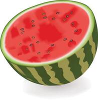 Scheibe von Wassermelone isoliert auf Weiß Hintergrund vektor