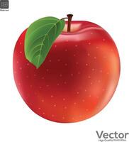 röd färsk äpple isolerat på vit bakgrund. vektor