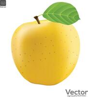 Gelb frisch Apfel isoliert auf Weiß Hintergrund. vektor