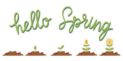 Blume Leben Zyklus. Wachstum Stufen von Samen zu Blüte. Hallo Frühling Beschriftung. eben bunt Illustration zum Karte, Einladung, Banner, Aufkleber, Poster. vektor