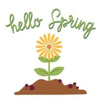 Hallo Frühling Karte mit Blühen Blume auf Weiß Hintergrund. Gartenarbeit und herzlich willkommen Frühling Konzept. Illustration zum Poster, Symbol, Karte, Logo, Etikett, Banner, Aufkleber. vektor