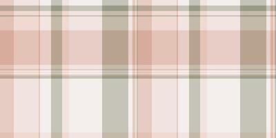 ländlich Stoff Textil, Schleier Plaid Tartan Muster. Mosaik nahtlos Textur prüfen Hintergrund im Licht und Weiß Farben. vektor