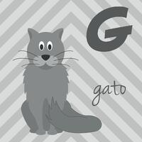 söt tecknad serie Zoo illustrerade alfabet med rolig djur. spanska alfabet. g för katt i spanska. lära sig till läsa. isolerat illustration. vektor