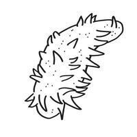 Trepan Meer Gurke Hand gezeichnet Tinte skizzieren auf isoliert Weiß Hintergrund. Meeresfrüchte Illustration Linie Kunst Stil. Design Element zum Logo, Speisekarte, drucken, Papier, Karte, Etikett. Marine Tiere, Essen vektor