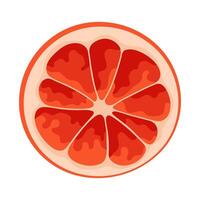 Grapefruit Scheibe einfach Illustration. reif saftig Frucht. hell Karikatur eben Clip Art vektor