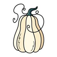 söt vit höst pumpa. hand dragen illustration för halloween och tacksägelse dekoration. vektor