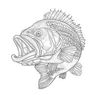 groß Bash Fisch skizzieren Design Vorlage vektor