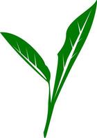 detta grön blad ikon ger tropisk djungel vibrafon till din mönster. en perfekt eco vegan bio märka för ett exotisk grön blad illustration. vektor