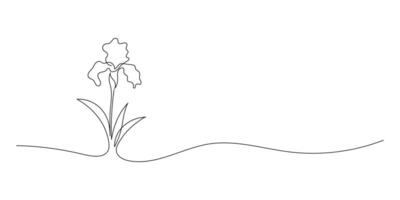 isoliert Narzissen Blumen blühen Kontur Linie farblos schwarz und Weiß Zeichnung auf Weiß Hintergrund. das minimalistisch Linie von das Nerd. Grafik von Romantik vektor