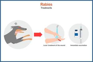 Illustration von medizinisch und Gesundheitswesen Konzept mit Tollwut Behandlung im eben Stil vektor