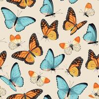 sömlös mönster med hög detaljerad tropisk fjärilar vektor