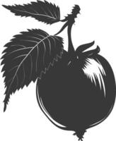 Silhouette Haselnuss Obst schwarz Farbe nur vektor