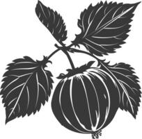 Silhouette Haselnuss Obst schwarz Farbe nur vektor
