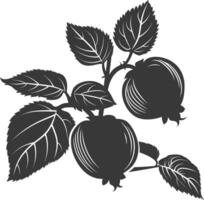 Silhouette Haselnuss Obst schwarz Farbe nur vektor