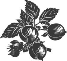 silhuett hasselnöt frukt svart Färg endast vektor