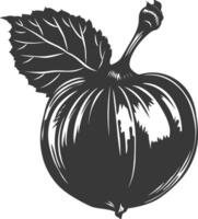 Silhouette Haselnuss Obst schwarz Farbe nur vektor