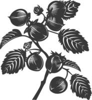 Silhouette Haselnuss Obst schwarz Farbe nur vektor