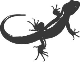 silhuett salamander djur- svart Färg endast vektor