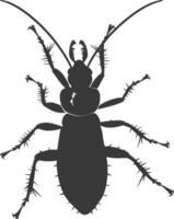 Silhouette Termite Tier voll Körper schwarz Farbe nur vektor