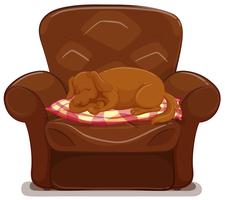 Kleiner Hund, der auf braunem Sofa schläft vektor