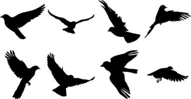 samling av svart fågel silhuetter utan bakgrund vektor
