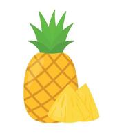 Ananas und Scheiben tropisch Sommer- Obst Gekritzelillustration vektor