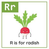 frukt och vegetabiliska alfabet Flash-kort för barn. inlärning brev r. r är för rädisa. vektor